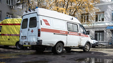 12 жителей Удмуртии пострадали от укуса гадюки с начала года