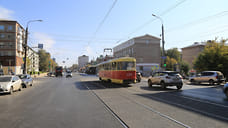 Деревья на улице Ленина в Ижевске начнут высаживать 19 октября