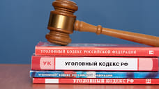 Обвиняемая в убийстве новорожденного в Удмуртии получила два года колонии