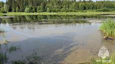 Рыбак и его сын утонули на пруду в селе Якшур-Бодья