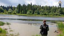 СКР возбудил дело из-за гибели 11-летнего мальчика на пруду в селе Якшур-Бодья