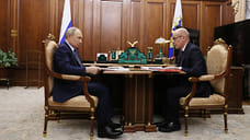 Владимир Путин назвал недостаточным коэффициент рождаемости в Удмуртии