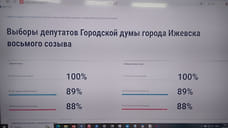 На выборах в гордуму Ижевска к вечеру проголосовали 88% участников ДЭГ