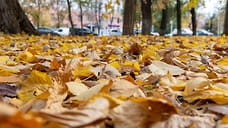 Дожди ожидаются на этой неделе в Удмуртии