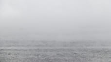 Туман ожидается ночью и утром 28 октября в Удмуртии