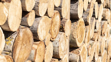 Удмуртия увеличила экспорт березовой древесины в Китай на 12% за год