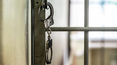 Жителя Ижевска приговорили к десяти годам за покушение на сбыт наркотиков