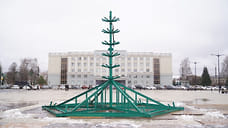 Новогоднюю елку на Центральной площади Ижевска установят к 1 декабря