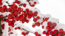 Снегопад ожидается в Удмуртии в выходные дни