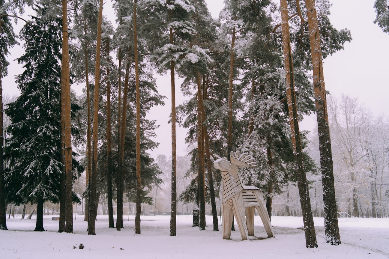 Первый снег в Ижевске