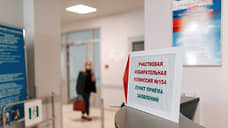 В Татарстане приняли закон о многодневном голосовании