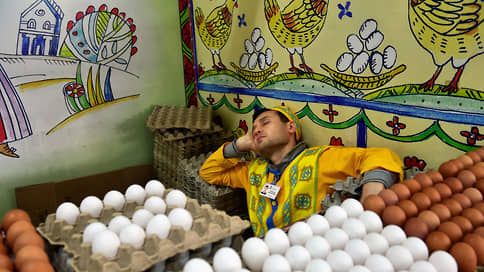 В Татарстане из-за птичьего гриппа изымут 300 тысяч яиц
