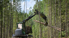 Использование лесов Татарстана принесло бюджету свыше 390 млн рублей