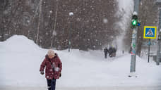 В Казани последствия снегопада будут ликвидированы через две недели