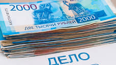Школьница из Чувашии отправила мошенникам 1,3 млн рублей