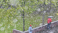 В День Победы в Татарстане прогнозируют дождь и мокрый снег