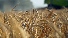 В Татарстане планируют создать сухопутный зерновой хаб