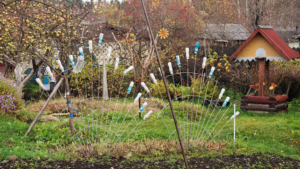 В Татарстане женщину укусила черная гадюка в огороде