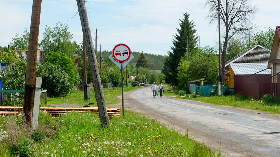 В татарстанском селе на 60 дней ввели карантин из-за выявленного очага бешенства
