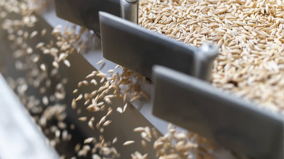 Татарстан впервые отгрузил в Иран 6,1 тыс. тонн пшеницы