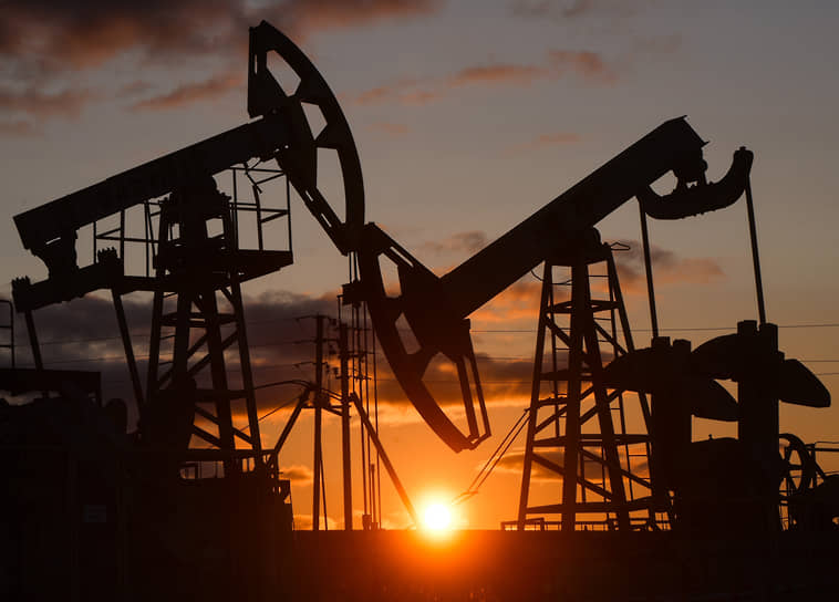 К 2050 году в России хотят увеличить добычу нефти на 4,5% ежегодно