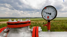 «Татнефть» и «Башнефть» заподозрили в порче земли из-за прорыва трубопровода