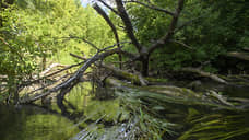 В Татарстане на экологическую реабилитацию рек направили 70,5 млн рублей