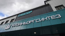 Чистая прибыль «Казаньоргсинтеза» за девять месяцев упала на 28%