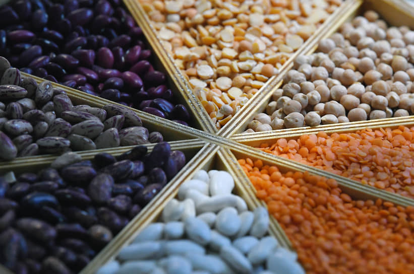 Казанские исследователи нашли замену химическим удобрениям для озимой пшеницы