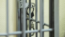 30 участников ОПС «Тукаевские» предстанут перед судом в Казани