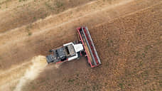 За 10 месяцев в Татарстане произвели сельхозпродукции на 339 млрд рублей