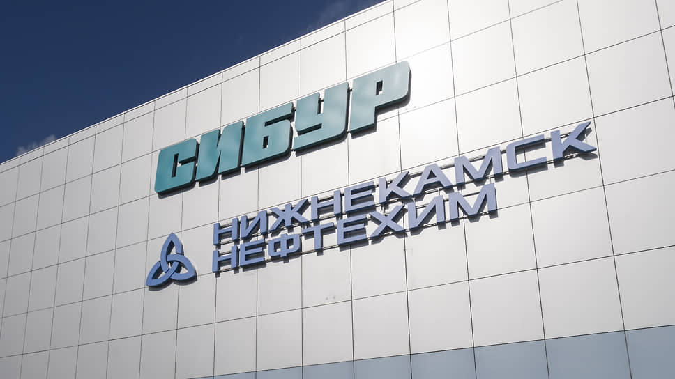 «Нижнекамскнефтехим» выплатил держателям акций 729,3 млн рублей