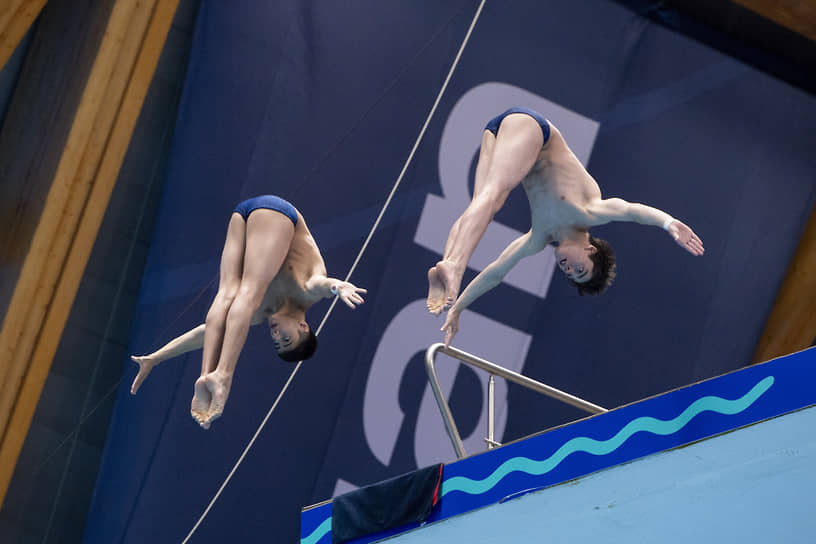 Чемпионат России по прыжкам в воду