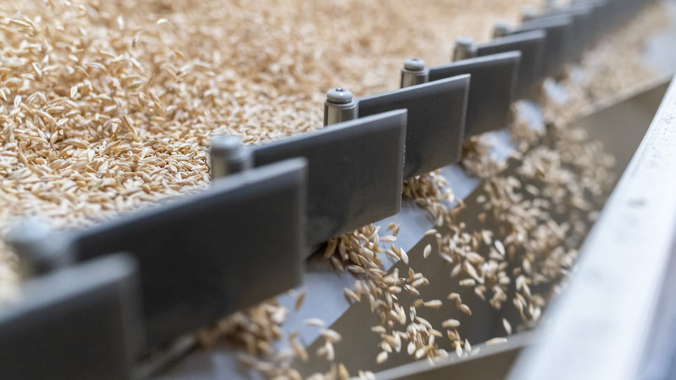 Производители зерна считают, что введение пошлин отрицательно скажется на рентабельности
