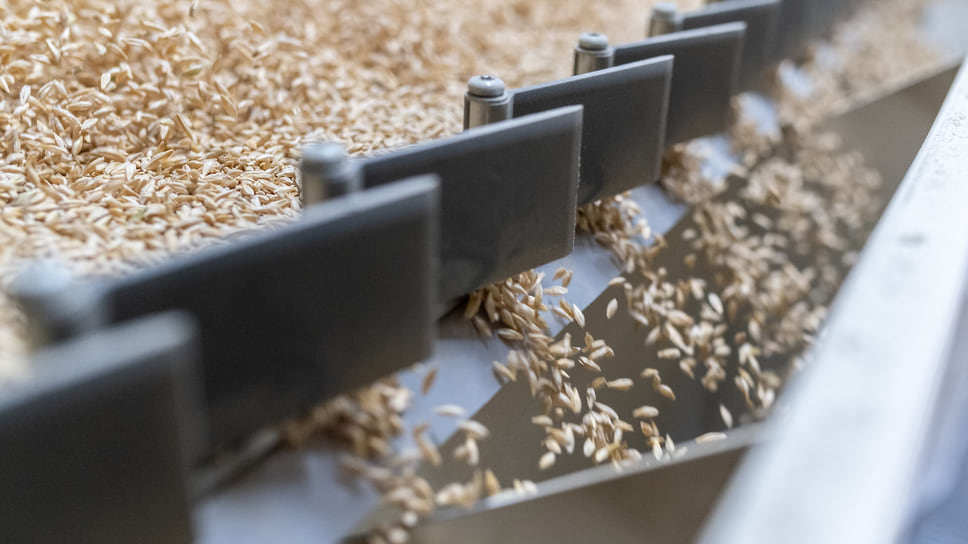 Производственная база элеватора позволяет принимать до 7 тыс. тонн зерна в сутки