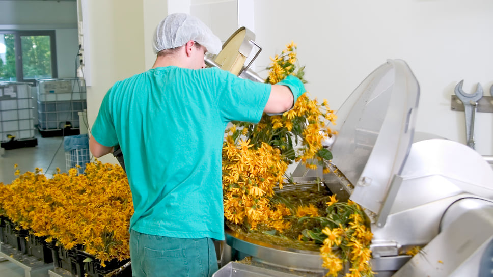 Аналитики говорят, что фитопроизводство может быть прибыльным бизнесом при определенных условиях