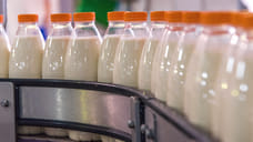 На производство молока в 2021 году из бюджета Кубани направят 1 млрд рублей