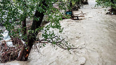 В пяти районах Кубани начал резко подниматься уровень воды в реках