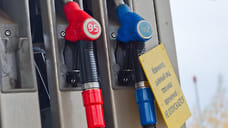 ФАС проверит на Кубани нарушение закона о конкуренции на рынке нефтепродуктов