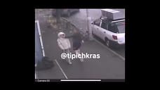 Женщину, ударившую девочку в Краснодаре, нашли и поместили в лечебницу