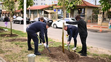 Глава Краснодара Евгений Наумов посадил деревья у собора Александра Невского