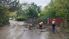 В Севастополе устраняют последствия ночного ливня