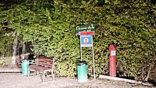 В лесу Сочи турист, испугавшись воя шакалов, залез на столб