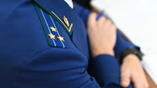Прокуратура Сочи предотвратила продажу дома участника СВО за долги