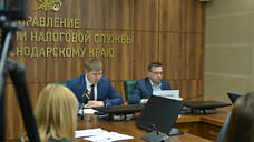 В 2024 году на Кубани о доходах не отчитались более 16 тысяч налогоплательщиков