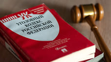 Оглашена мера пресечения экс-супруге отца мальчика, покусанного собаками в Сочи