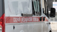 Краснодарские хирурги помогли пострадавшей от нападения собаки жительнице Адыгеи