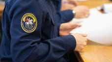 В Краснодаре возбудили уголовное дело после нападения бездомных собак на детей