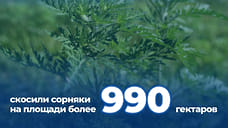 В Краснодаре скосили сорняки на площади 990 га