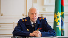 Глава СКР поручил возбудить дело после нападения бездомной собаки на ребенка в Крыму